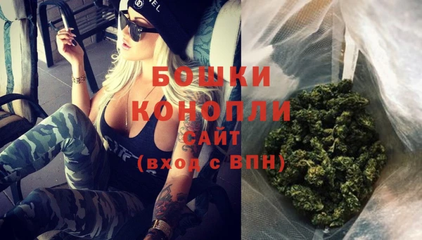 стаф Нефтегорск