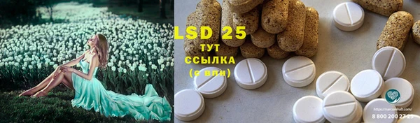 круглые Абаза