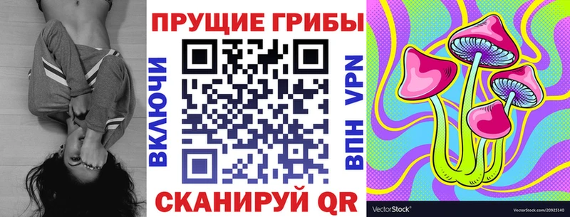 Галлюциногенные грибы Psilocybine cubensis  Алупка 